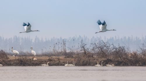 Poyang Lake