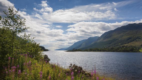 Loch Ness + Glencoe + Cairngorms National Park one-day tour in Edinburgh, Scotland