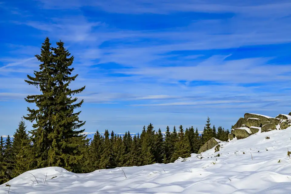 1_Vitosha Mountain