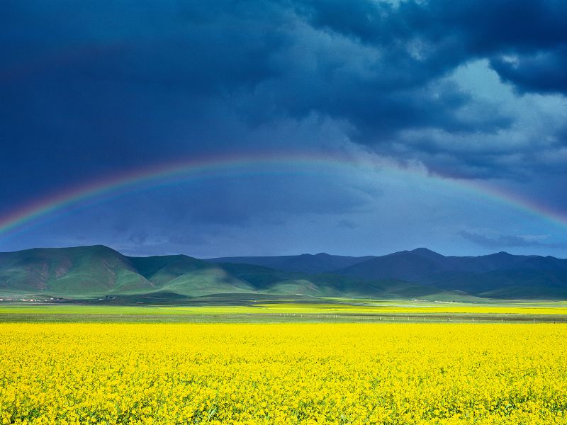 Qinghai Lake