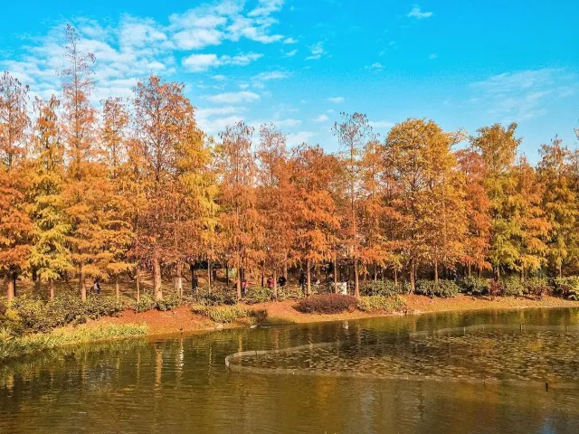 【野餐地點】12大野餐好去處 必去海景草地公園推薦