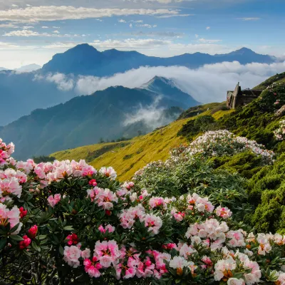 鄰近Rigi Kulm Taiwan的酒店