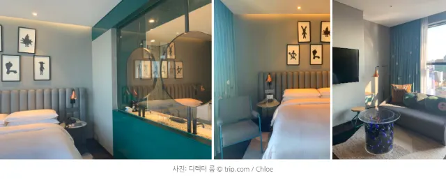 [월간호텔] 트립닷컴이 직접 다녀온 리얼 후기 - 라이즈 오토그래프 컬렉션 (룸타입 편)