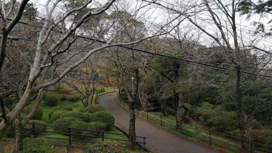 西公园是福冈市一个面积很大的市区公园，依山傍水，遍布绿植，还