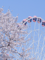 The East Lake Eye Ferris Wheel