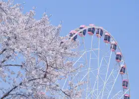 The East Lake Eye Ferris Wheel