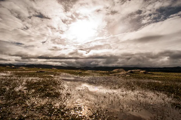 Отзывы об отеле Four Points by Sheraton at Phoenix Mesa Gateway Airport