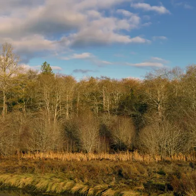 Отели рядом с достопримечательностью «Нешнел Траст - Фентон Хаус энд Гарден»