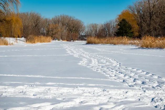 Авиабилеты Монреаль в Аэропорт Домодедово