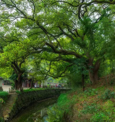 American Airlines Flights to Anqing