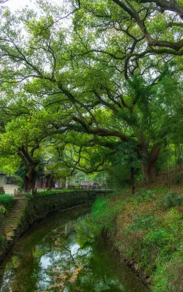 Fuyang Moli Luhua Business Hotel (Fuyang ecological paradise store)