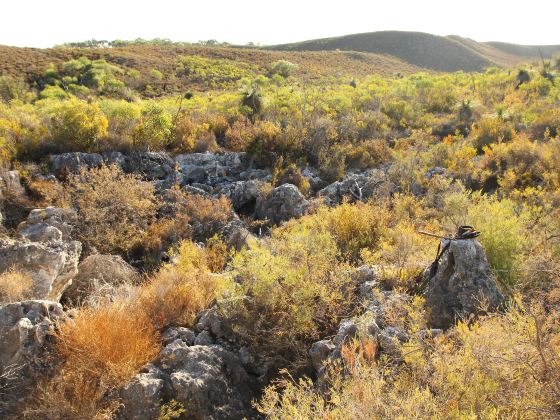 Horton Plains National Park