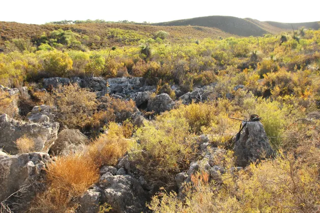 Highgrove Estate By Ishq