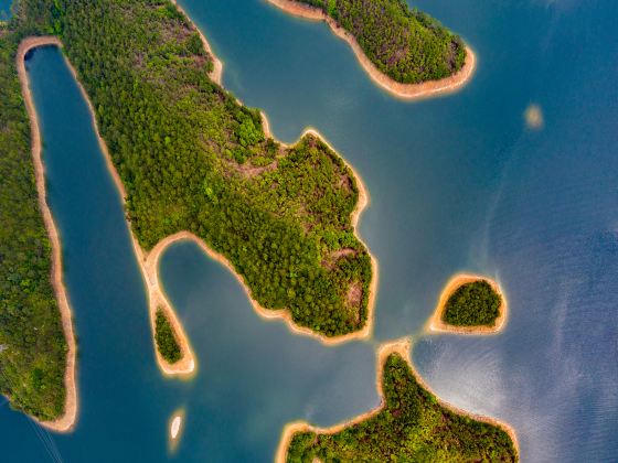 Yellow Stone Reservoir