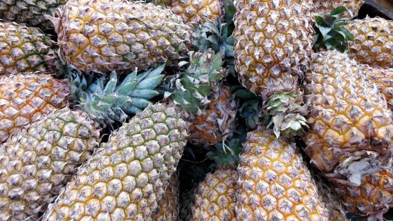 2人起訂私人導覽南極村鳳梨的海燈大樓合水線一日遊湛江上門接送