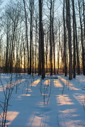 Разрешено размещения с домашними животными Отели в г. Мохэ
