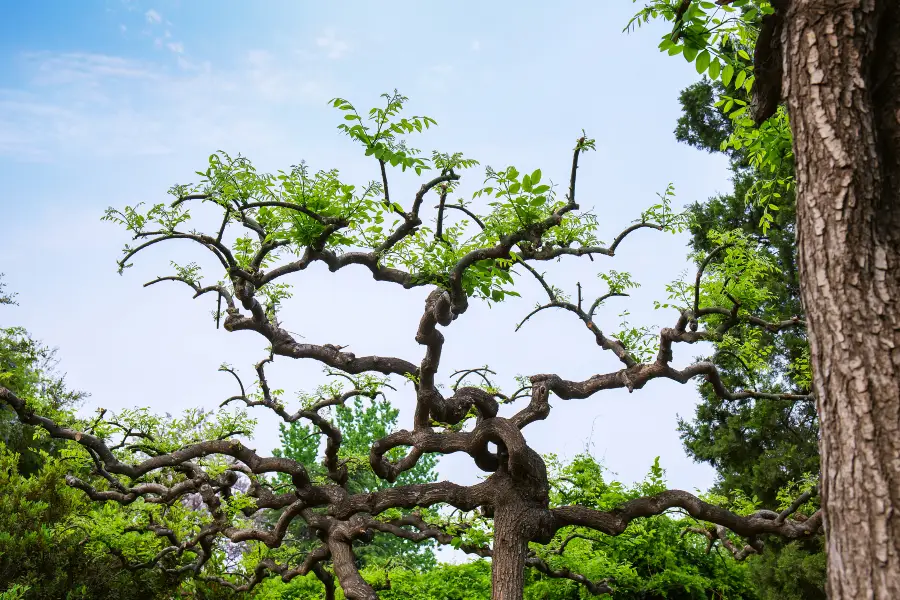 녹음 공원