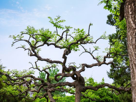 녹음 공원