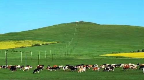 Longli Prairie