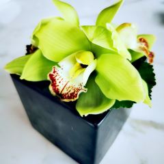Caffe Dessert User Photo