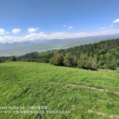 那拉提國家森林公園用戶圖片