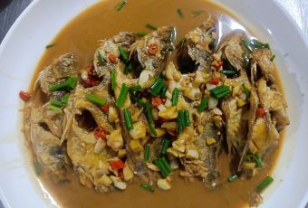 渔水之乡 User Photo