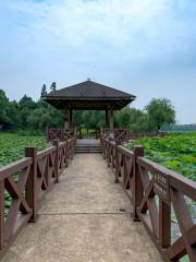 Taozi Lake