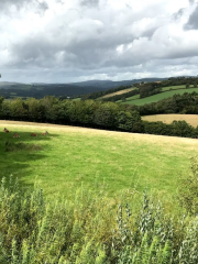 Pennywell Farm & Wildlife Centre