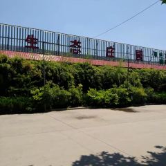 東盛生態莊園（奎文店）張用戶圖片