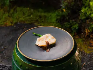 세가 다