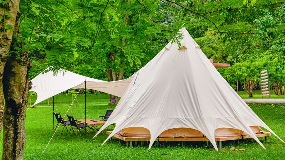 Starry Sky Firefly Campsite