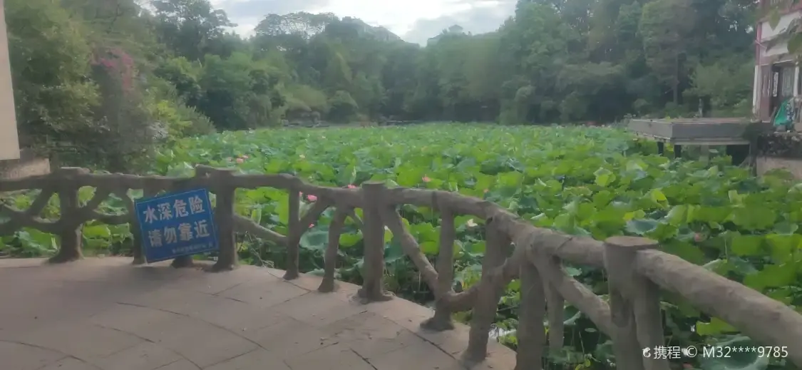 Hotels near Yanhu Park