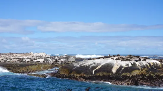 Seal Island