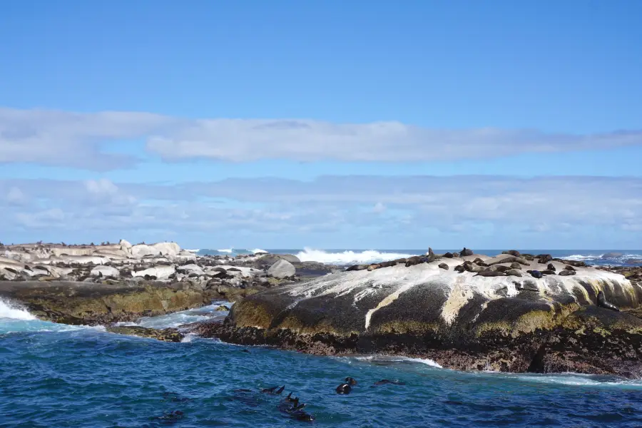 Seal Island