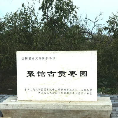 Xiong'an Aquarium Light Luxury Hotel