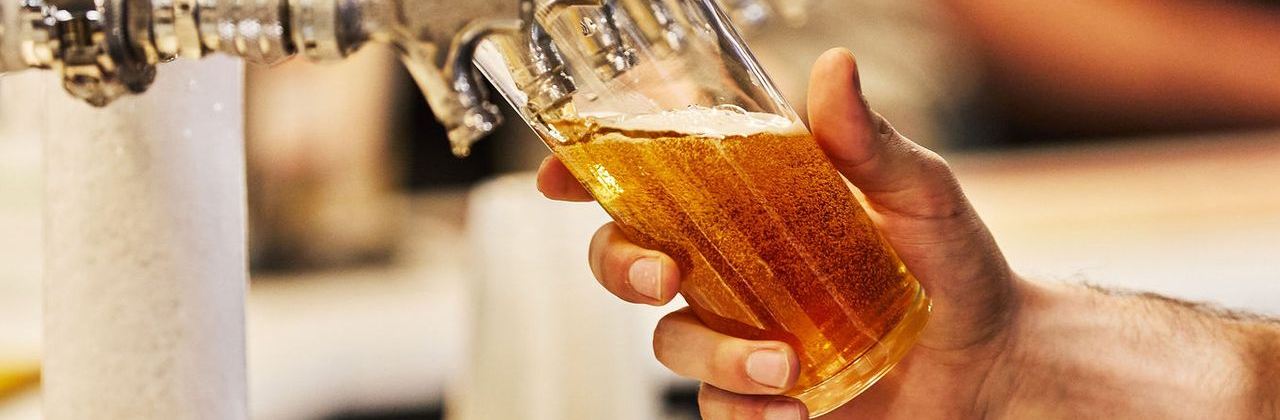 Pacers & Chasers - The Creek Harness Racing