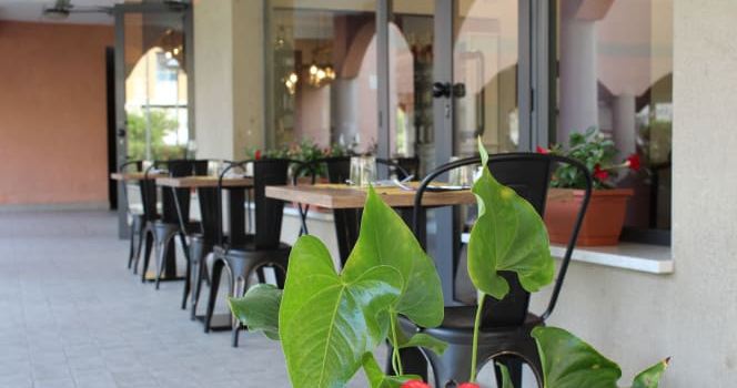 Pesto DiVino