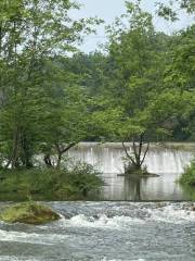 Pujiang Chaoyanghu Bailu Ecological Nature Reserve