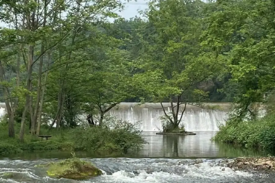 蒲江縣朝陽湖白鷺生態自然保護區