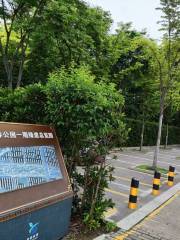 Siyang City Forest Park (Northwest to Siyang City Management Administrative and Law Enforcement Bureau)