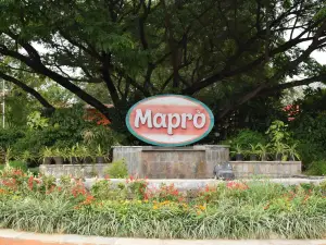 Mapro Food Park