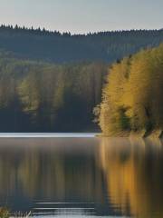 Mšeno / Grünwald Reservoir