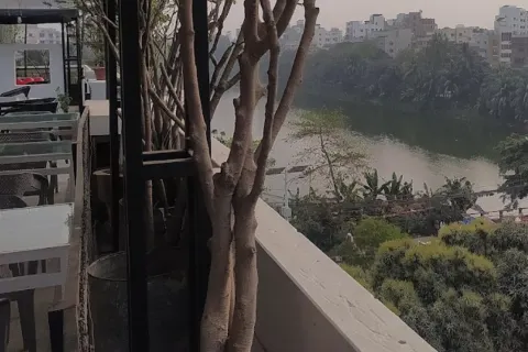 Lake Terrace