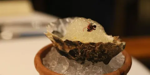 DC Restaurant