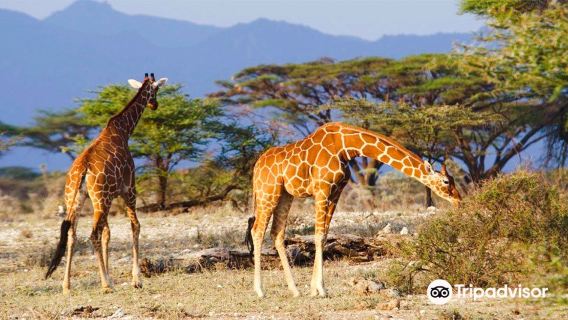 Queen Elizabeth National Park
