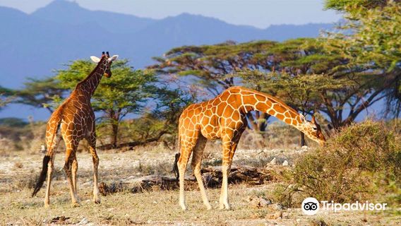 Queen Elizabeth National Park