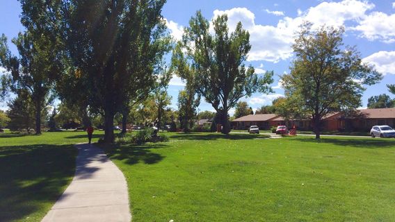 Benson Sculpture Garden