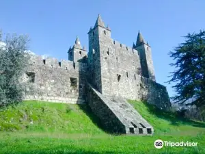 Castle of Santa Maria da Feira