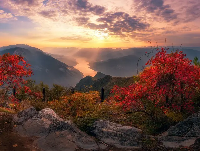 Fall Foliage Sightseeing in Fengjie County