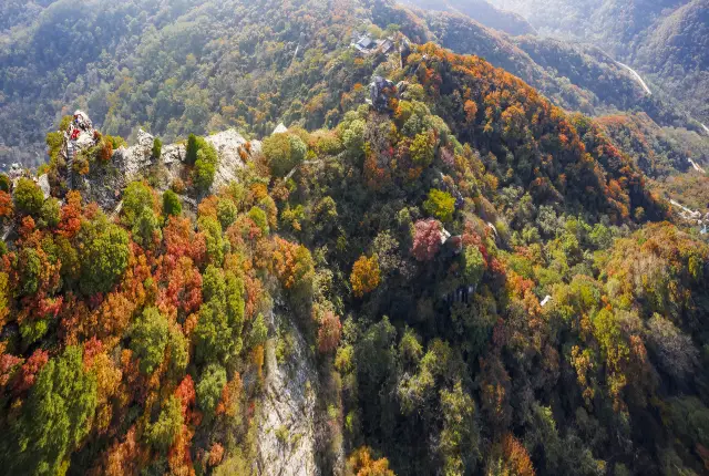 Fall Foliage Sightseeing in Xi'an